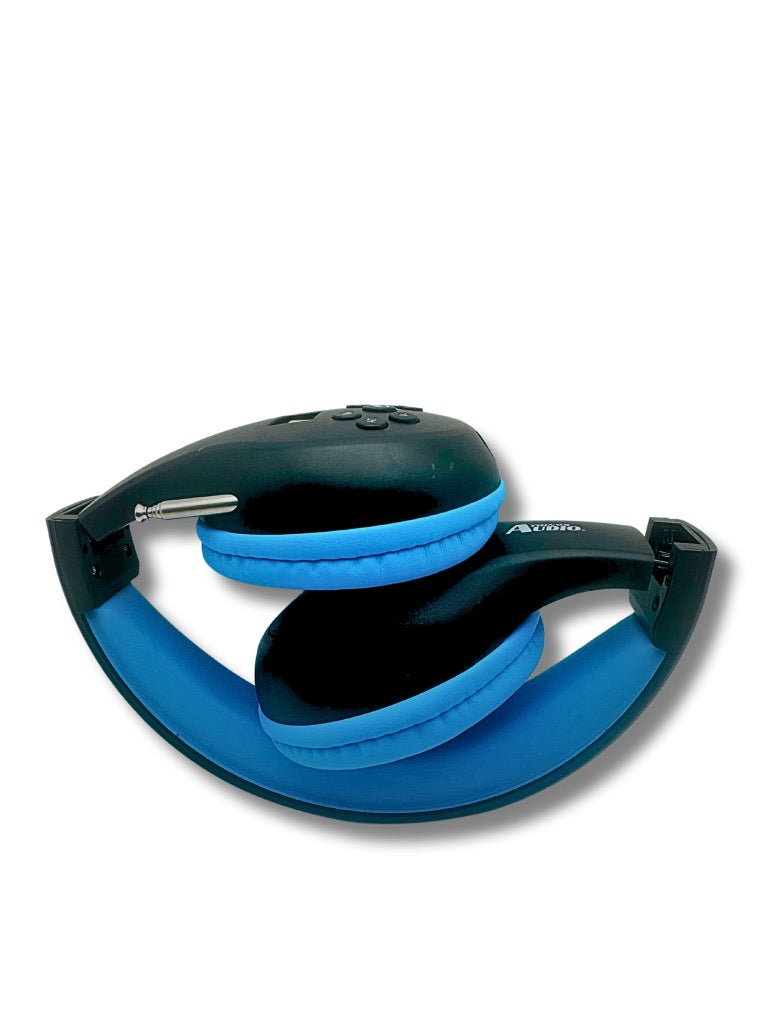 FM Radio Headphones (Black & Blue)