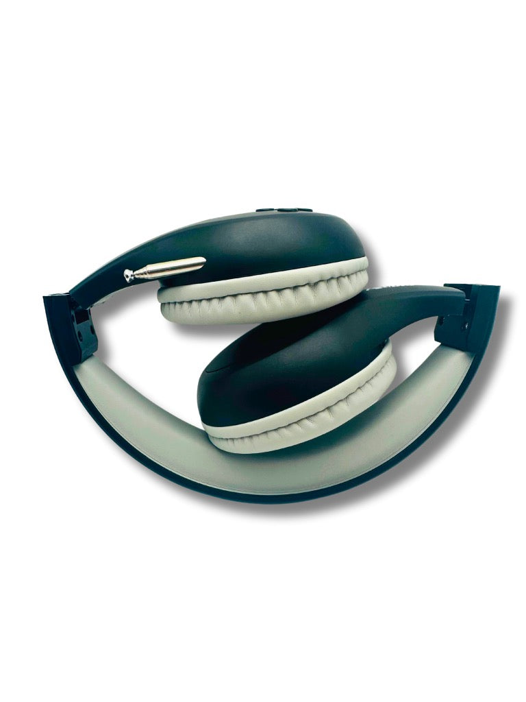 FM Radio Headphones (Black & Gray)